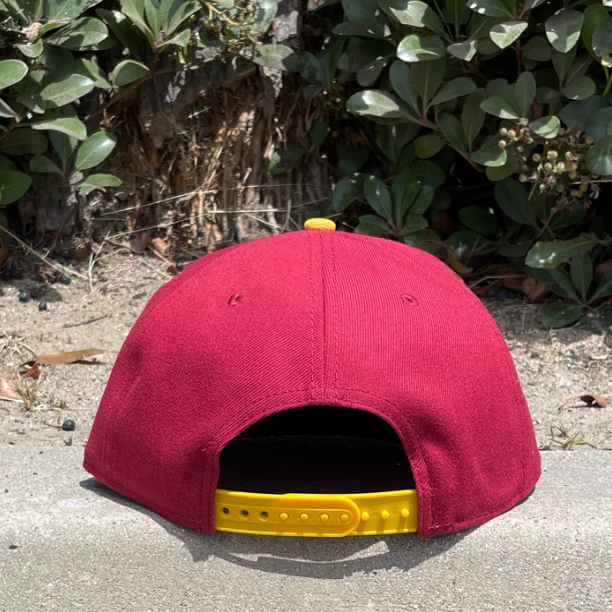 uscback